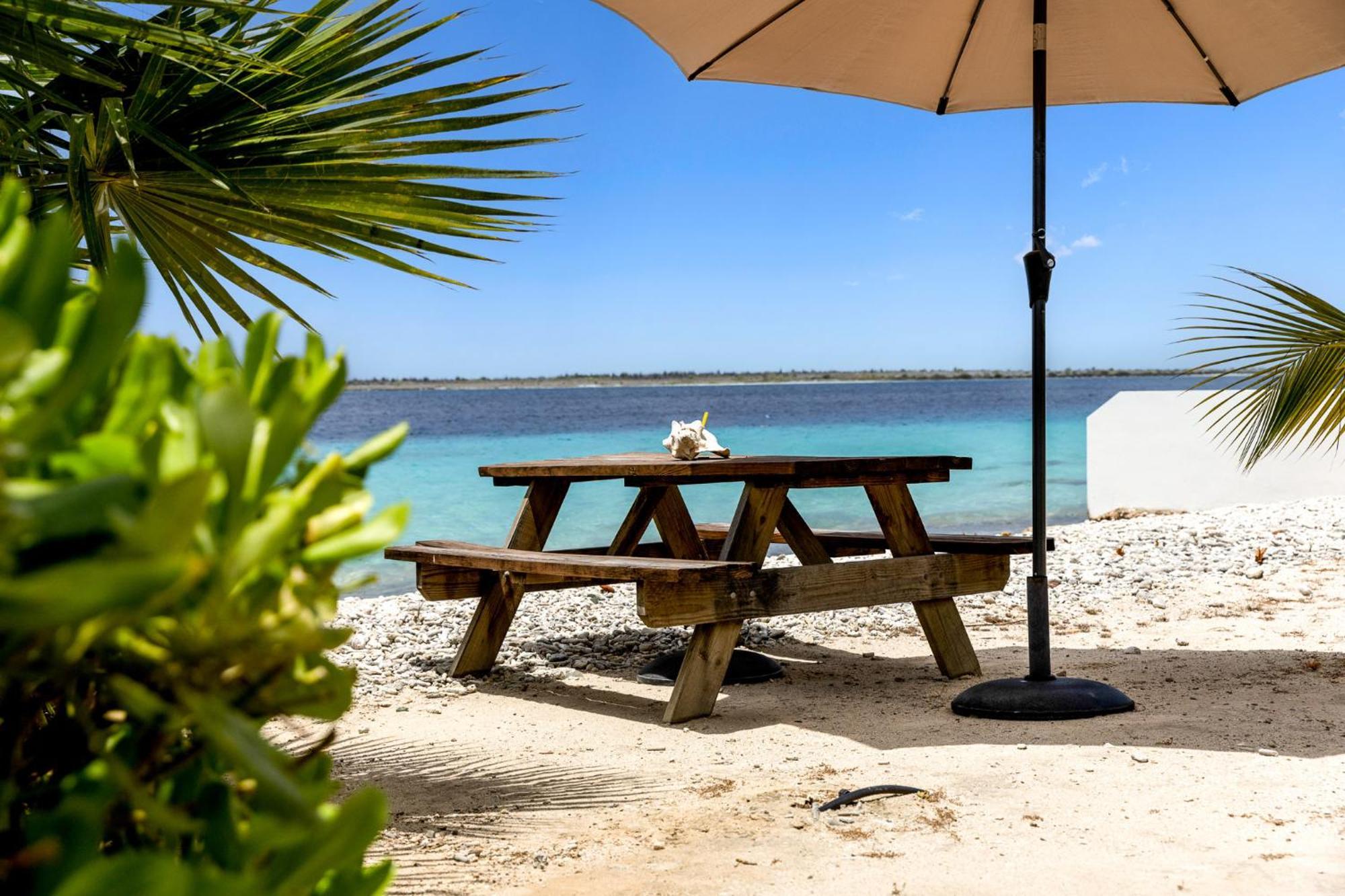 Oceanfront - Villa Port Of Call - Playa Exteriör bild